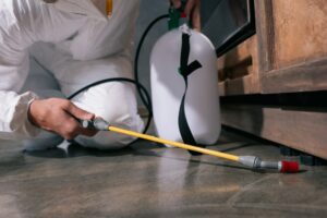 cropped image of pest control worker spraying pesticides on floor in kitchen